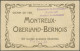 Schweiz: 1910 (ca.): Jugendstil-Ansichtskartenheft "Chemin-de-Fer Montreux-Oberl - Lettres & Documents