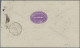 Deutsches Reich - Brustschild: 1874, 1 Gr. Karmin U.2 Gr. Blau , Gr. Schild Auf - Brieven En Documenten