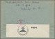 Delcampe - Deutsches Reich - 3. Reich: 1941/1942, Drei Portogerechte Einzelfrankaturen Ins - Covers & Documents