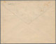 Deutsches Reich - Privatpost (Stadtpost): HAMBURG/Hammonia I, 1889, 2x 2 Pf. U. - Private & Local Mails