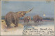 Deutsch-Südwestafrika: 1899 Destination IRLAND: Ansichtskarte ("Gruss Aus ..." M - África Del Sudoeste Alemana