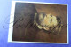 Delcampe - Klasiek Componisten LOT X 43 Cpsm Postkaarten Cartes Postale Compositeurs CLASSIQUES - Edit. WALTER CLASSEN Paintings - Chanteurs & Musiciens