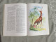 Delcampe - Livre Sissi Par Odette Ferry 1969 3 Romans : Sissi Jeune Fille - Sissi Impératrice - Sissi Face à Son Destin - Hachette