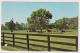 AK 197744 USA - Kentucky - A Blue Grass Horse Darm Near Lexington - Andere & Zonder Classificatie