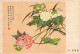 Delcampe - Postcard, Topic Ethnics, China Different Cultural Flowers From Wang Hai-Yun, Collection Of Postcards - Colecciones Y Lotes