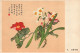 Delcampe - Postcard, Topic Ethnics, China Different Cultural Flowers From Wang Hai-Yun, Collection Of Postcards - Collections & Lots