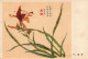 Delcampe - Postcard, Topic Ethnics, China Different Cultural Flowers From Wang Hai-Yun, Collection Of Postcards - Collections & Lots