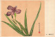 Delcampe - Postcard, Topic Ethnics, China Different Cultural Flowers From Wang Hai-Yun, Collection Of Postcards - Collections & Lots