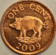 Bermuda - Cent 2009, KM# 107a (#3230) - Bermuda