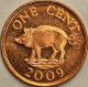 Bermuda - Cent 2009, KM# 107a (#3230) - Bermudas