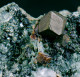 Mineral - Magnetite, Perowskite E Clorite ( Rocca Sella, Val Di Susa, Torino, Italia) - Lot, 1137 - Mineralien