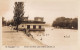 THE ROSE SERIES / FEEDING THE SWANS LAKE TORRENS  ADELAIDE - Adelaide