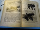 Delcampe - 1 Buch  Adler-Jahrbuch 1941 - Aviation