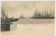 07- Prentbriefkaart Enkhuizen 1900 - Vlootrevue - Enkhuizen