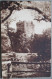 IRLAND UK UNITED KINGDOM CORK BLARNEY CASTLE PC CP KARTE CARD POSTKARTE POSTCARD ANSICHTSKARTE CARTOLINA CARTE POSTALE - Colecciones Y Lotes