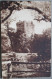 IRLAND UK UNITED KINGDOM CORK BLARNEY CASTLE PC CP KARTE CARD POSTKARTE POSTCARD ANSICHTSKARTE CARTOLINA CARTE POSTALE - Collezioni E Lotti