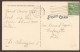 Des Vaches, Kühe, Koeien, Cows From Brandon, Vermont 1951 - Other & Unclassified