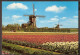 Lisse-Holland - Dutch Gardens - Des Moulins à Vent, Windmolens, Wind Mills, Tulips - Lisse