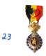 C23 Médaille Travail De L'industrie De 1 Er Classe - 1937  - Militaria - Décoration - Belgio
