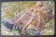 Croatia  - Adriatic Undersea World Chip Card Used - Croatia