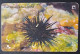 Croatia  - Adriatic Undersea World Chip Card Used - Croatia