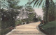 MONACO - Une Allée Dans Les Jardins - Colorisé - Palmiers - Carte Postale Ancienne - Monte-Carlo