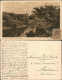 Postkaart Scheveningen-Den Haag Den Haag Scheveningsche Boschjes. 1924 - Scheveningen