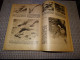 Delcampe - 1 Buch  "Adler- Jahrbuch 1942" - Aviation