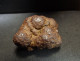 Marcassite Nodule ( 4 X 2 X 3.5 Cm) - Wimereux - Pas De Calais - France - Mineralien