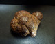 Marcassite Nodule ( 4 X 2 X 3.5 Cm) - Wimereux - Pas De Calais - France - Mineralien