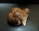 Marcassite Nodule ( 4 X 2 X 3.5 Cm) - Wimereux - Pas De Calais - France - Minerals