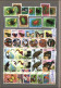 Delcampe - CUBA Stamps Sellection P Topical Lot - Collections (en Albums)