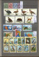 Delcampe - CUBA Stamps Sellection P Topical Lot - Collections (en Albums)