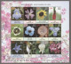 India 2013 Mixed Wild Flower MINT SHEETLET Good Condition (SL-102) - Unused Stamps