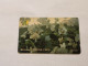 JAMAICA-(13JAMC-JAM-13C)-White Orchids-(12)-(13JAMC013338)-(J$100)-used Card+1card Prepiad - Jamaïque
