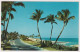 AK 197920 USA - Florida - Palm Beach - View Of Beach Seen From Ocean Blvd. - Palm Beach