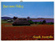 Australia 1990 Postcard Barossa Valley - Haystack; 80c. Brush-tailed Rock-wallaby Stamp; Saddleworth Postmark - Barossa Valley