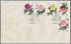 Delcampe - China (PRC): 1964, Chinese Peonies (S61), Complete Set Of 15 On Three Official F - Lettres & Documents