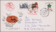 Delcampe - China - Postal Stationery: 1897/1936, Lot Of Stationery Unused Mint (10, Inc. 19 - Postales