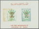 Delcampe - Yemen: 1930/1984. 54 Profoundly Described And Priced Items, Incl. Block And Larg - Jemen