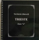 TRIESTE "A" AMG-FTT - ALBUM COMPLETO (IN INGLESE) - NO FRANCOBOLLI - Contenitore Per Francobolli