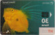 Kroatien - Croatia 385 - Under Water (Transparent Card) Fish - Kroatien