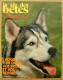 231/ LA VIE DES BETES / BETES ET NATURE N° 231 Du 10/1977, Voir Sommaire - Animales