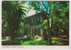 AK 197938 USA - Florida - Key West - Hemmingway House - Key West & The Keys