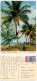 Bahamas 1979 Postcard Climbing For Coconuts, 16c. 250th Anniversary Of Parliament Stamp; Freeport Slogan Cancel - Bahama's