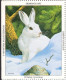 Rabbit Wolf Cardinal Raccoon Ermine Bird CHRISTMAS National Wildlife Federation NWF LABEL CINDERELLA VIGNETTE 1994 USA - Sin Clasificación