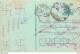 Inde India Entier Postal Stationary Tigre - Cartas & Documentos
