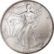 États-Unis, Dollar, 1993, Philadelphie, 1 Oz, Argent, SPL, KM:273 - Zilver