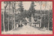 Erezée - Avenue Du Pont ... Attelage - 1905 ( Voir Verso ) - Erezee