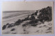 BELGIQUE - FLANDRE OCCIDENTALE - BREDENE - Mer Et Dunes - 1960 - Bredene